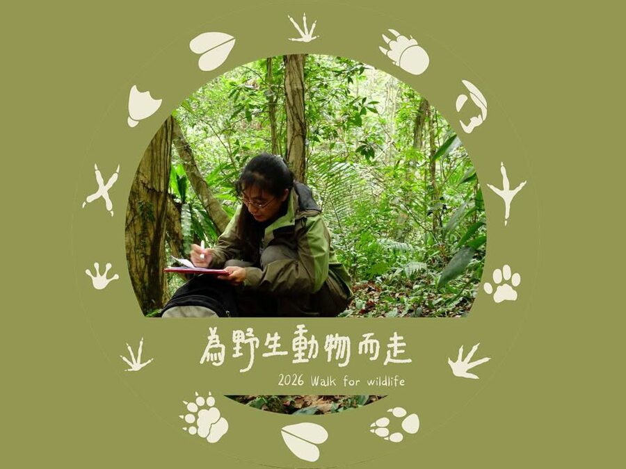 陳美汀