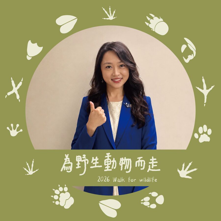 蔡沛芸